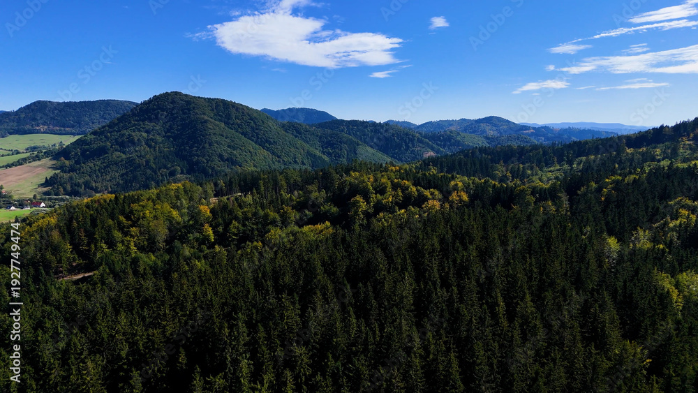 Obraz premium Drone view autumn view coniferous forest hills mountains USA.