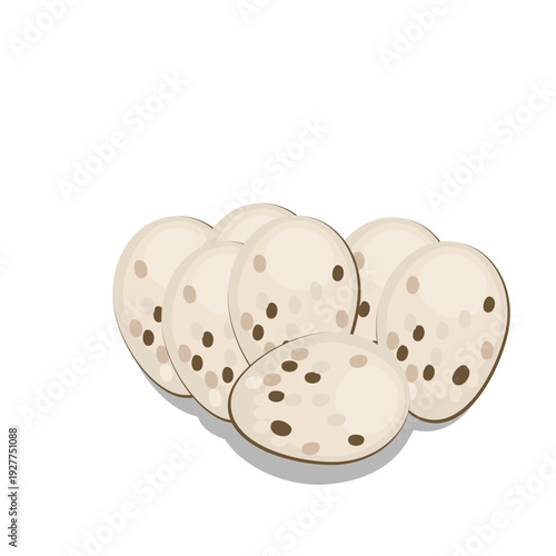 Reptile Eggs Illustration 