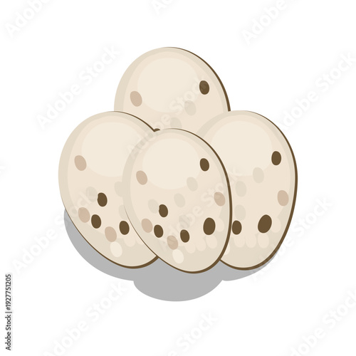 Reptile Eggs Illustration 