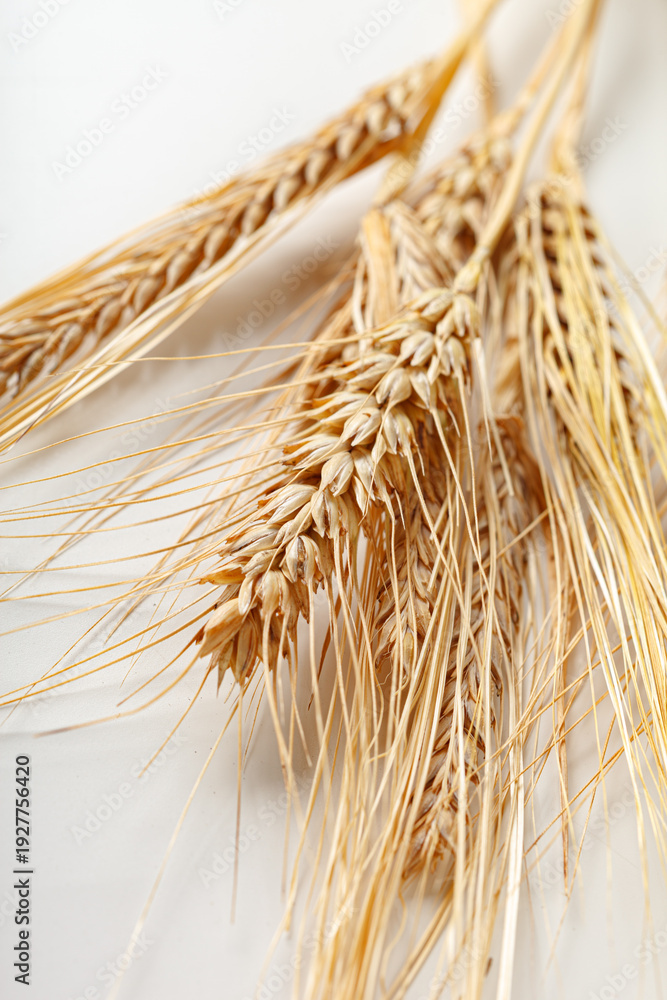 Obraz premium Golden wheat stalks are laid on a plain surface in bright natural light during the daytime
