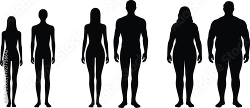 Human Body Silhouette Set Showing Different Male and Female Body Types Front View Vector Illustration Isolated on White Background Anatomy Collection