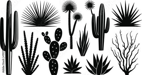 Assortment of Desert Plant Silhouettes on White Background Keywords: cactus, succulent, desert, plant, flora, nature, silhouette