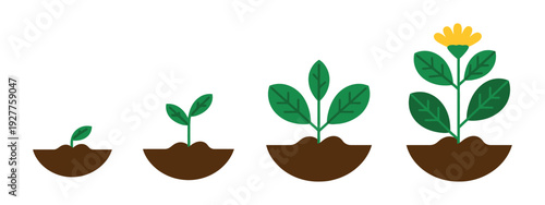 Cartoon Plant Growth Stages Icons with Sprout, Leafy Development, and Blooming Flower Emerging from Soil Mounds, Colorful Vector Illustration