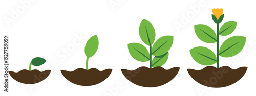Cartoon Plant Growth Stages Icons with Sprout, Leafy Development, and Blooming Flower Emerging from Soil Mounds, Colorful Vector Illustration