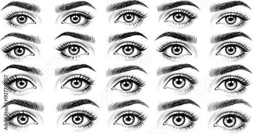 Set of detailed female eyes and eyebrow sketches isolated on white background vector beauty illustration collection