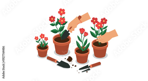 hands planting red flowers in terracotta pots with gardening tools flat vector illustration