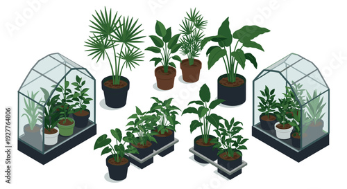 collection of indoor potted plants with two small greenhouses in isometric vector style for home decoration and gardening