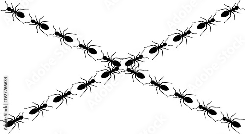 Black ants form a distinctive symmetrical crossing pattern in this isolated graphic design