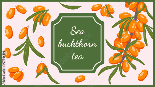 Sea buckthorn tea banner with orange berries and leaves. Herbal packaging template for natural drinks, wellness brands and product labels.
