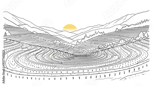 hand drawn terraced rice fields landscape with mountains and sunrise outline illustration