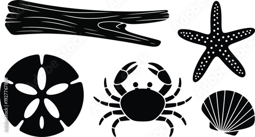 Minimalist black silhouette set of ocean elements: driftwood, crab, starfish, sand dollar, and scallop shell for summer designs.