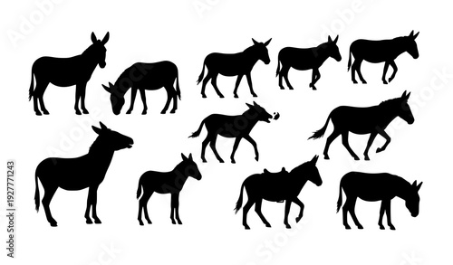 Donkey Animal Silhouette Vector Collection with Farm Mammal Poses Isolated on White