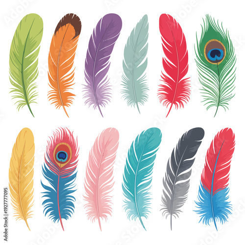 Wallpaper Mural Colorful Feather Vector Set Illustration Icon Design Torontodigital.ca