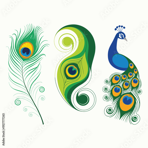 Wallpaper Mural Peacock Feather Vector Illustration Isolated on White Decorative Floral Design Torontodigital.ca