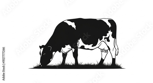 Black and White Cow Grazing.