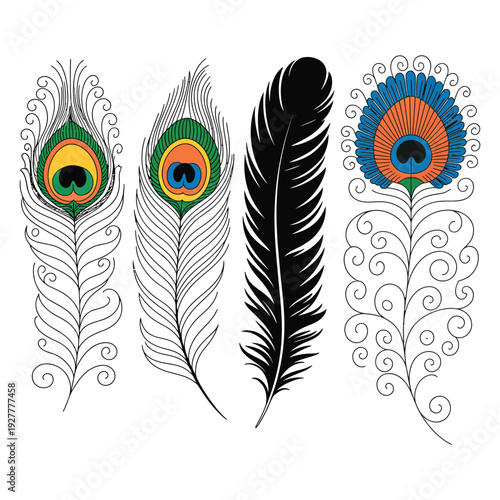 Wallpaper Mural Peacock Feather Vector Art Illustration Design Icon Pattern Plume Silhouette Element Torontodigital.ca