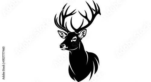 Black and White Deer Illustration.