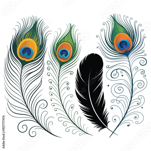 Wallpaper Mural Peacock Feather Vector Illustration on Black Background Torontodigital.ca
