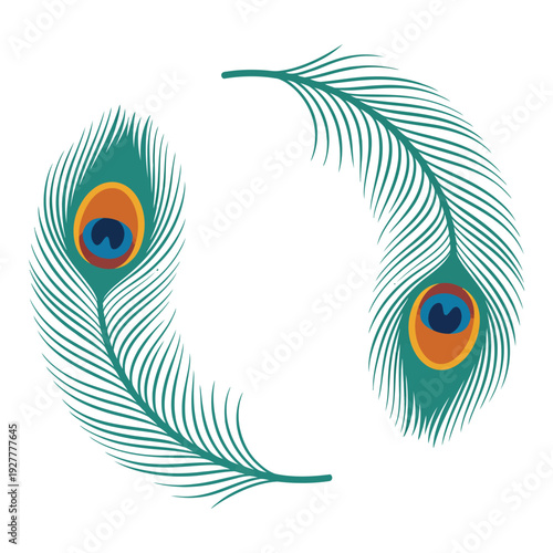 Wallpaper Mural Peacock feather colorful vector illustration isolated on white background with eye pattern tropical bird design Torontodigital.ca