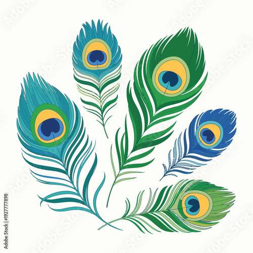 Wallpaper Mural Peacock Feather Colorful Vector Illustration Isolated on White Torontodigital.ca