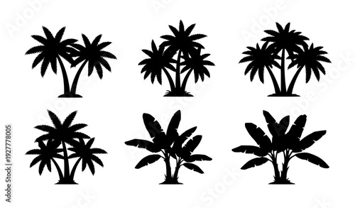Tropical palm and banana tree icon set black silhouettes vector isolated white background