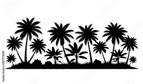 Black tropical palm and banana tree silhouettes vector illustration isolated on white