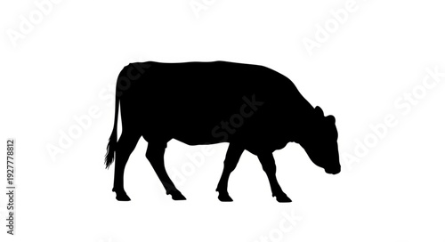 Black Cow Silhouette Walking Profile.