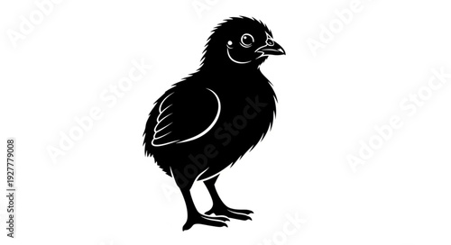 Black Bird Silhouette Standing Alone.