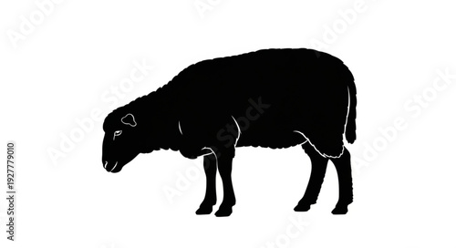 Black Bison Silhouette Profile View.