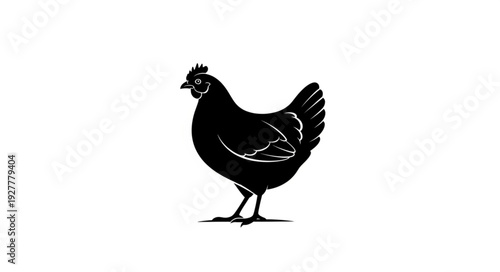 Black Chicken Silhouette Standing Alone.