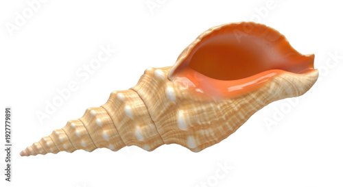 Εκτύπωση καμβά Isolated mollusk shell with spiral ridges and spiky protrusions, marine life nat