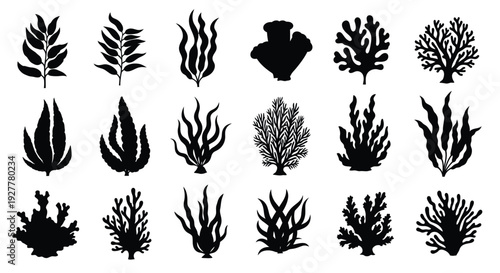 Collection of black silhouettes depicting various types of seaweed and plants