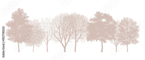 Minimalist CAD Tree and Wetland Forest Section Outline Set, Side View Line Art Vector for Architectural Landscape Design, Autumn Foliage Illustration and Environmental Site Plan Presentation
