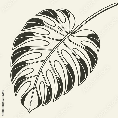 Black and White Monstera Leaf Illustration with Detailed Veins