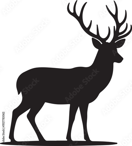 Deer vector illustration