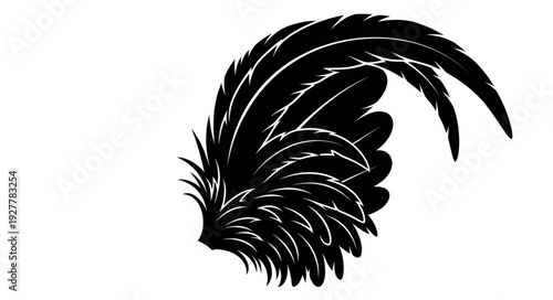 Black Feather Silhouette Isolated White.