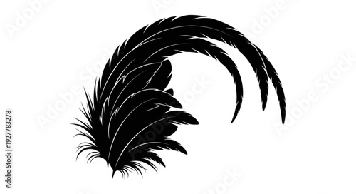 Black Feathers Arranged in a Curve.