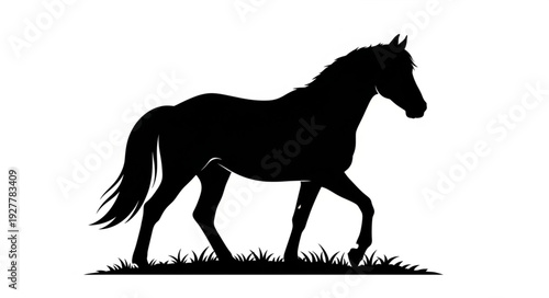 Black Horse Silhouette Running Freely.