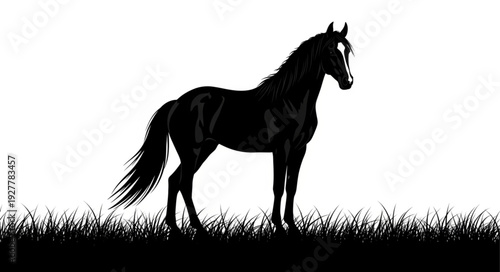 Black Horse Silhouette Standing Alone.