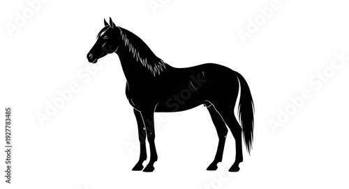 Black Horse Silhouette Standing Profile.