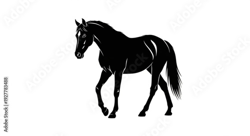 Black Horse Silhouette Walking Freely.