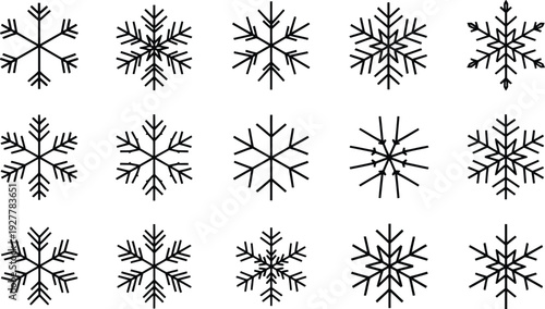 Collection of unique snowflakes in black and white