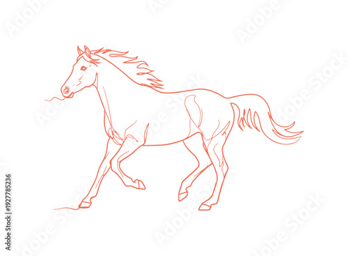 A horse illustrated in a continuous line art style. The sketch shows a graceful horse running, isolated on a white background. It's a vector illustration.
