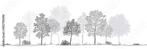 Side View Architectural Tree Drawing, Minimal CAD Forest Line and Wetland Section Set for Landscape Plan, Clean Vector Illustration Design Elements for Garden Planning and Nature Layout