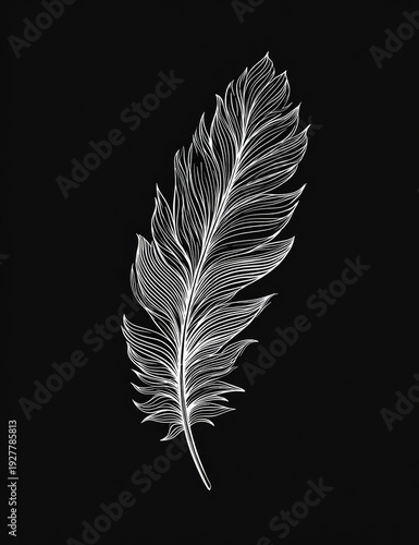 A detailed black and white illustration of a delicate feather with fine, linear details