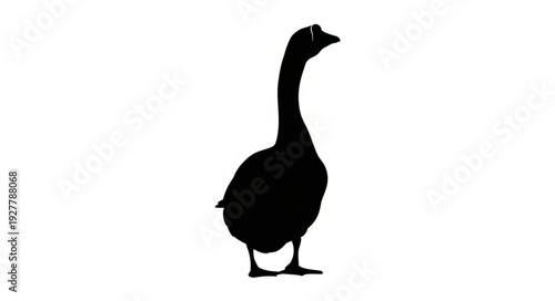 Black Silhouette of a Goose.
