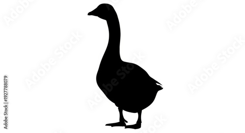 Black Silhouette of a Goose.