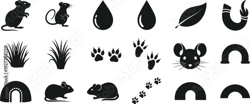 Collection of black silhouettes of animals and plants