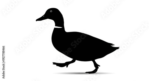 Black Silhouette of a Duck.