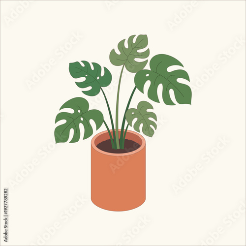 Isometric vector illustration of a Monstera Deliciosa plant in a modern pot